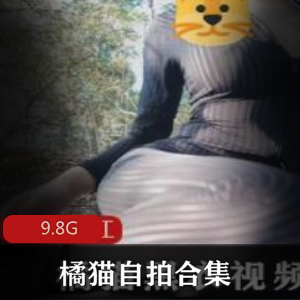 猫奴必备网红橘猫自拍合集，萌化你的相机！