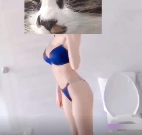 久妖大神携网红女主播，长腿黑丝超美，化身小仙女，让你心动不已！