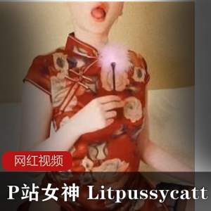 独家推荐P站女神Litpussycatt亲自演绎的旗袍与黑丝作品,让你沉醉其中!