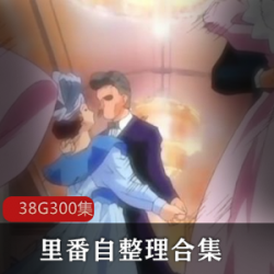 超级大礼包：里番动画作品集38G合集