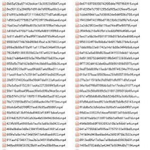 激烈对白的自行打包小视频（含117v）