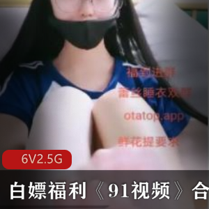 91视频合集