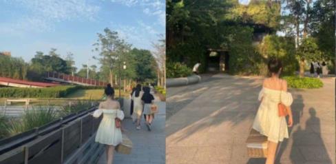 推特momo桃乃木圆第二套4v2.3g百度云