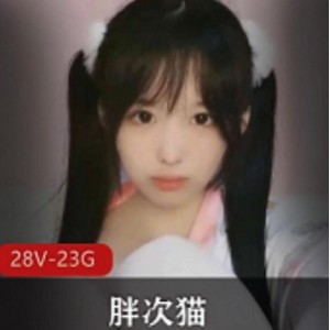 小奶猫主播的胖次猫自我安慰视频合集