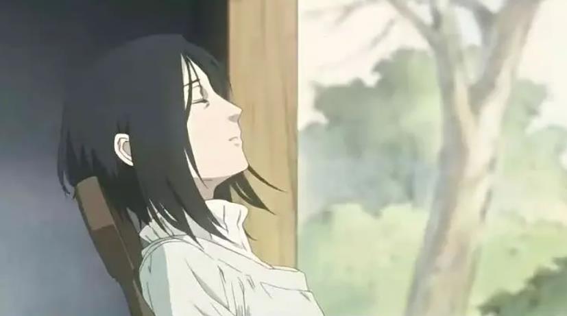 隐之王-冒险动漫电视-高清日语中字