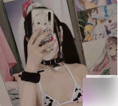 社保姬@小齿幼喵全合集：25套86V+直播33.6G绝版合集