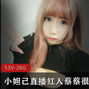 小妲己直播蔡蔡很蔡甜甜圈私人定制版26G豪华资源