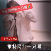 抖音网红小伊伊精选视频合集，175个视频1.9G超萌妹子身材相貌无敌