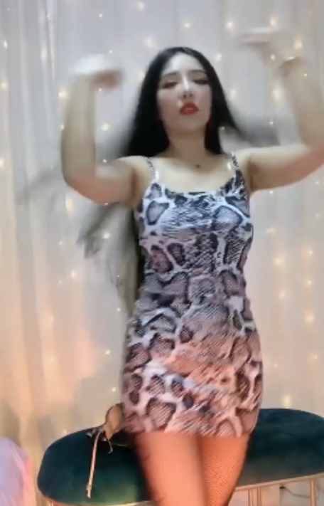 御姐型舞姬洋洋热舞视频合集101V/4.01G