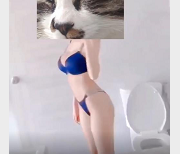 91顶级网红大神资源！长腿黑丝美女神，视频大小93V，2.7G！