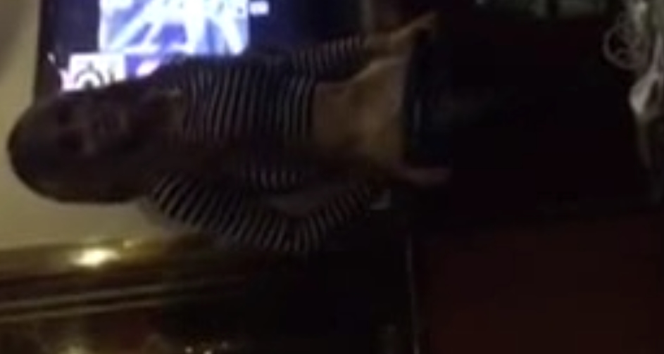 TS伪娘合集111g补:收藏解压,多重风格任你选