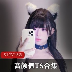 OnlyFans高颜值TS合集312部18.4G太诱人